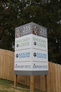 dog care near me
