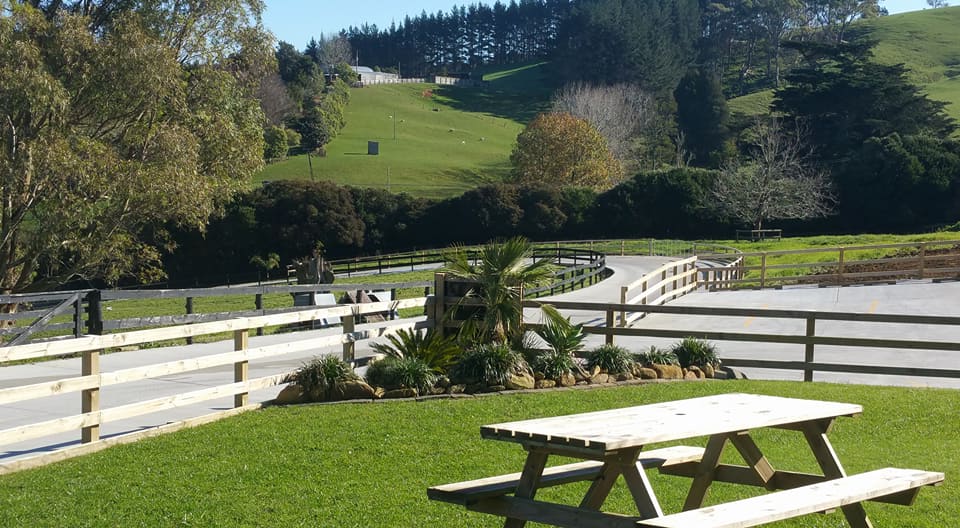 dog homestay auckland