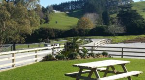 brookby lodge boarding