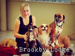 brookby cattery