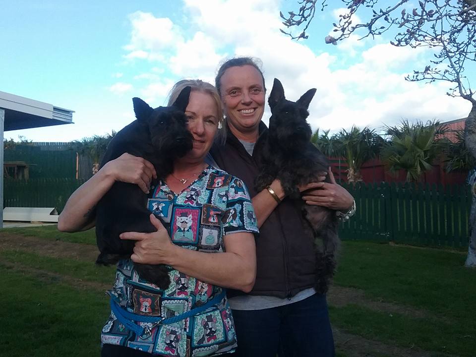 kennels near me