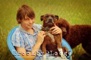 luxury dog kennels auckland