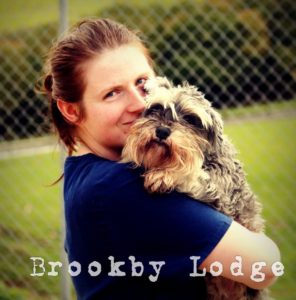 dog hotel