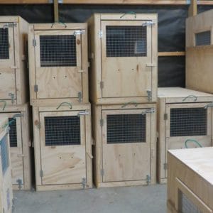 boarding kennels near me