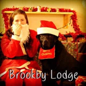 pet lodge