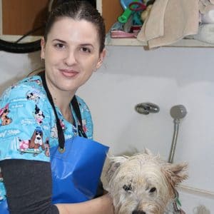 boarding dog kennels near me