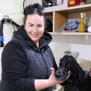 dog accommodation