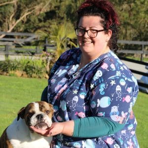 dog kennels for holidays near me