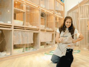 Cat Boarding