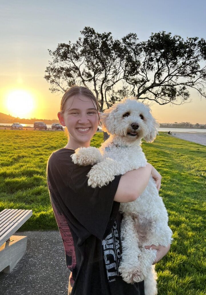 dog borading